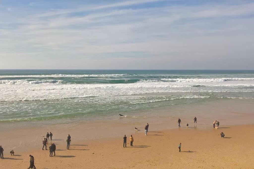 Appart' Dans Les Pins, Ocean, Lac, Piscine Lacanau Exteriör bild